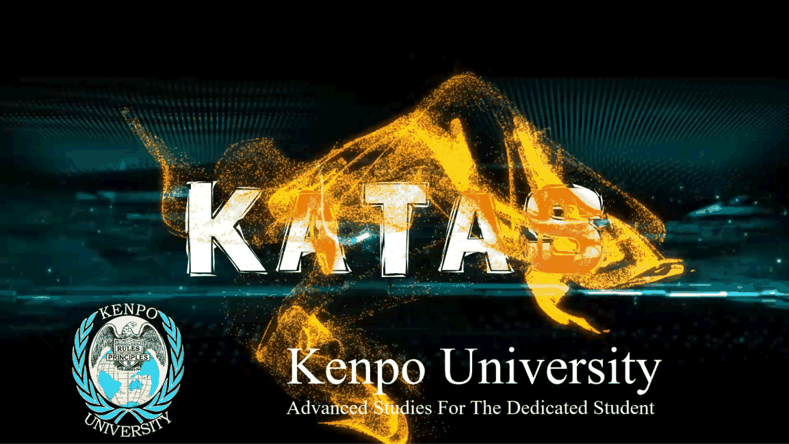 Dictionary vs encyclopedia katas what s the difference kenpo